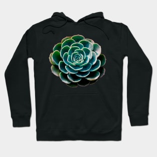 Echeveria Glauca Hoodie